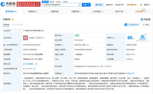 廣東順豐電子商務公司完成大幅增資，注冊資本躍升至4億元，發力國內貿易代理業務